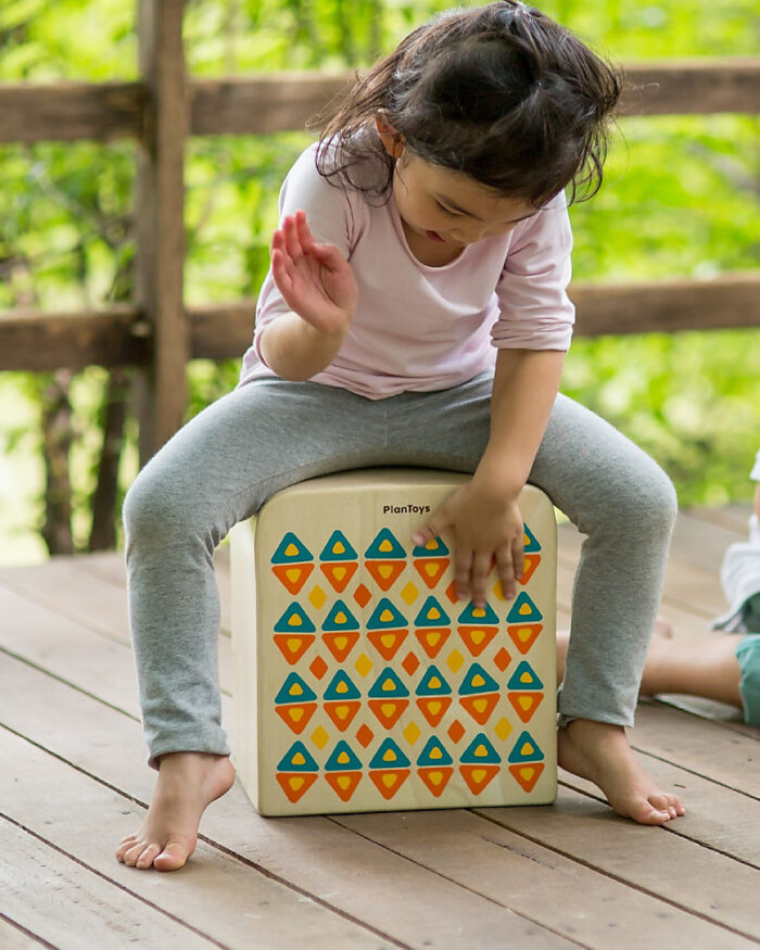 PlanToys Rhythm Box Set - Sustainable Musical Collection