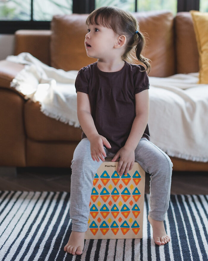 PlanToys Rhythm Box Set - Sustainable Musical Collection